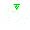 Mayorista Tigo Vape