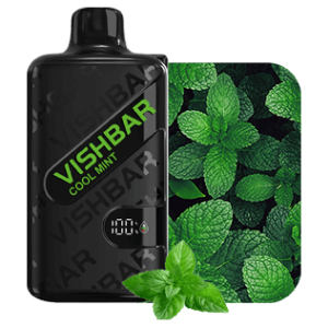 VISHBAR WEEKLY 20000 Puffs Cool Mint