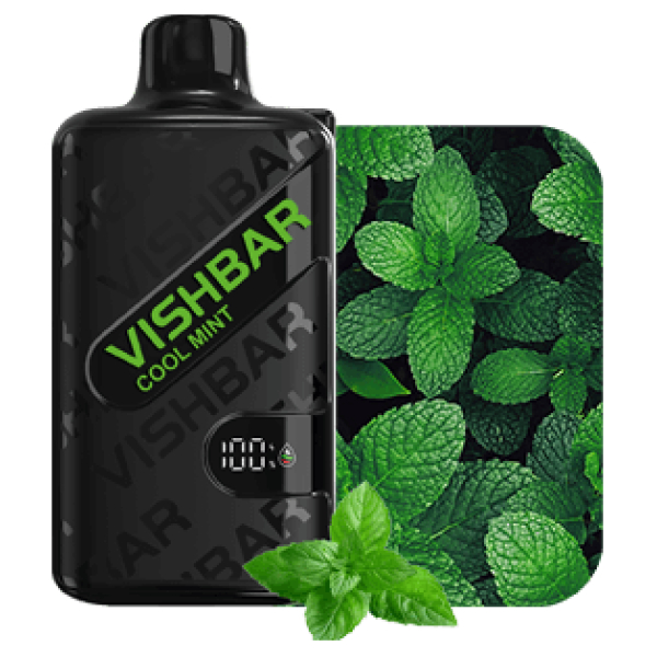 VISHBAR WEEKLY 20000 Puffs Cool Mint