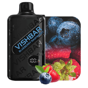 VISHBAR WEEKLY 20000 Puffs Blueberry Raspberry