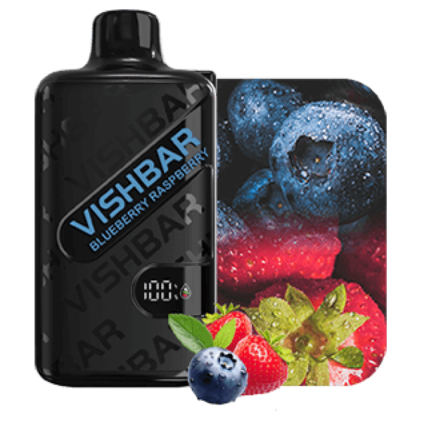 VISHBAR WEEKLY 20000 Puffs Blueberry Raspberry